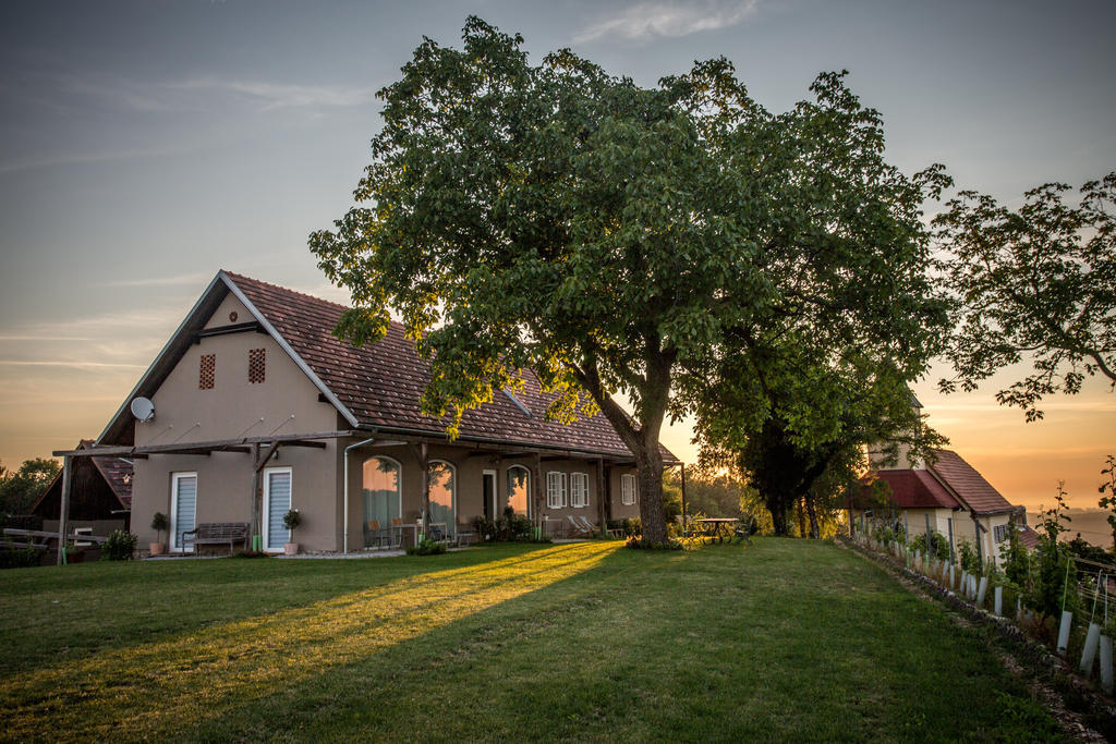 Winzarei, Weingut Tement Villa Berghausen Eksteriør billede